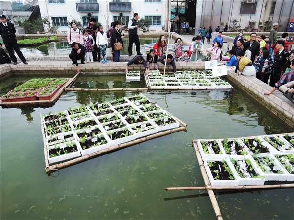 “漂浮農(nóng)場”贏得深圳城市建筑雙年展獎項
