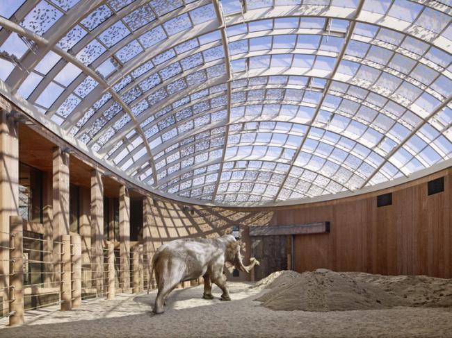 8個為動物而建的建筑設(shè)計項目