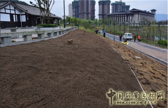 James Hitehmough：發(fā)展可持續(xù)城市的植物群落