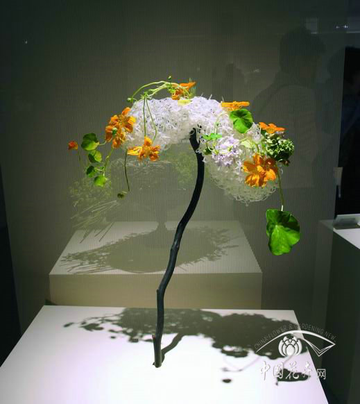 日本2016MAMI花藝設計展 凸顯“生活有道” 