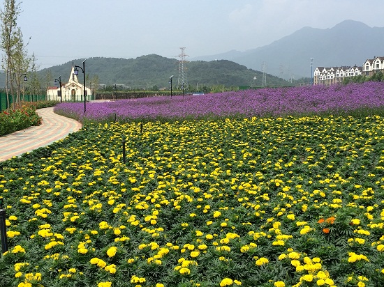 北京·懷柔燕城小鎮規劃項目賞析