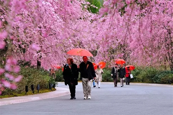 貝聿銘：日本滋賀縣秀美美術(shù)館景觀