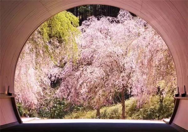 貝聿銘：日本滋賀縣秀美美術(shù)館景觀