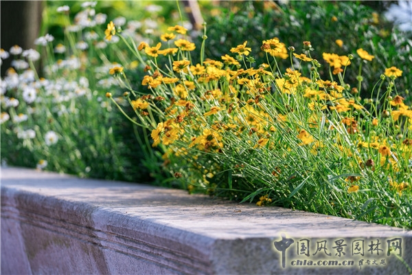 藍調國際：重慶金海灣濱江園  山水之城的濱水密境