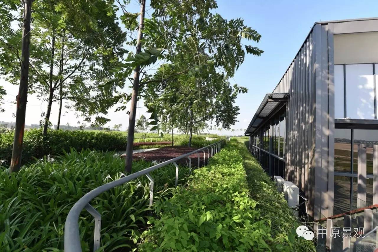 馬來西亞加里斯建筑師的弧形景觀設計