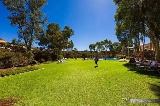 景觀植物分類型配置標準化