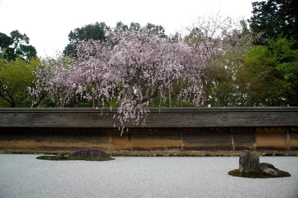 枯山水（中）