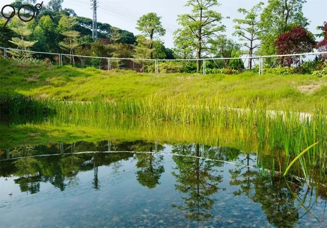 低維護(hù)生態(tài)園區(qū)：萬(wàn)科研究中心
