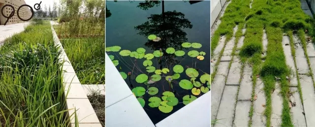 低維護(hù)生態(tài)園區(qū)：萬(wàn)科研究中心