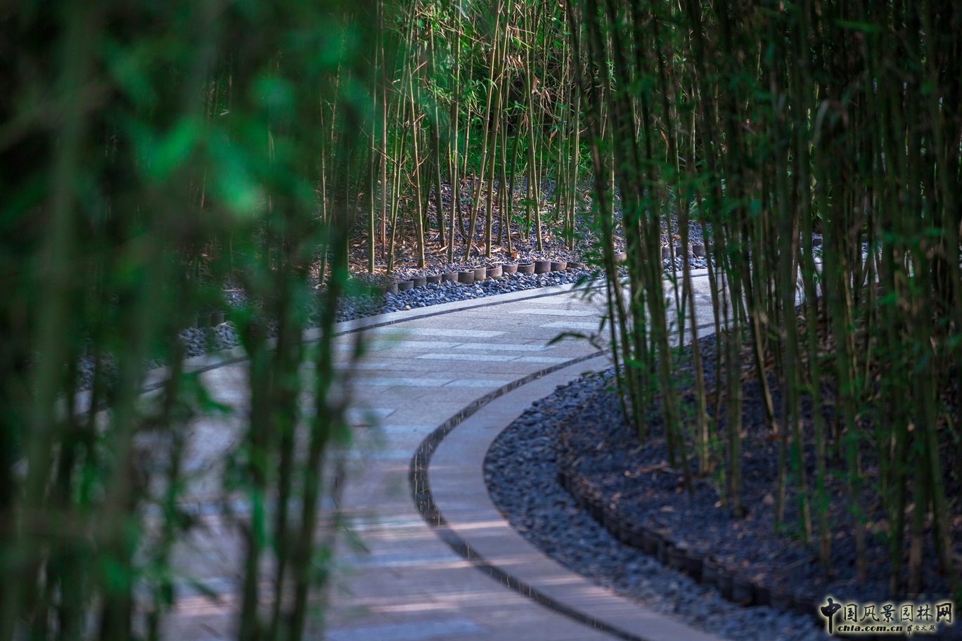 2016園冶杯專業獎參賽項目：電建·金地華宸示范區