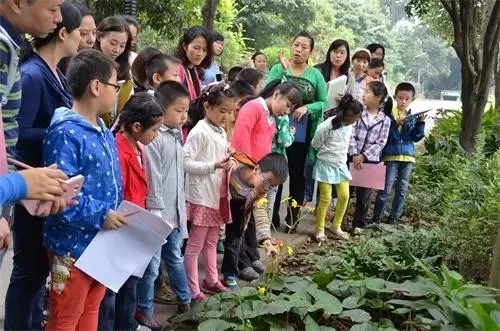如何讓植物成為兒童活動場地的主角？