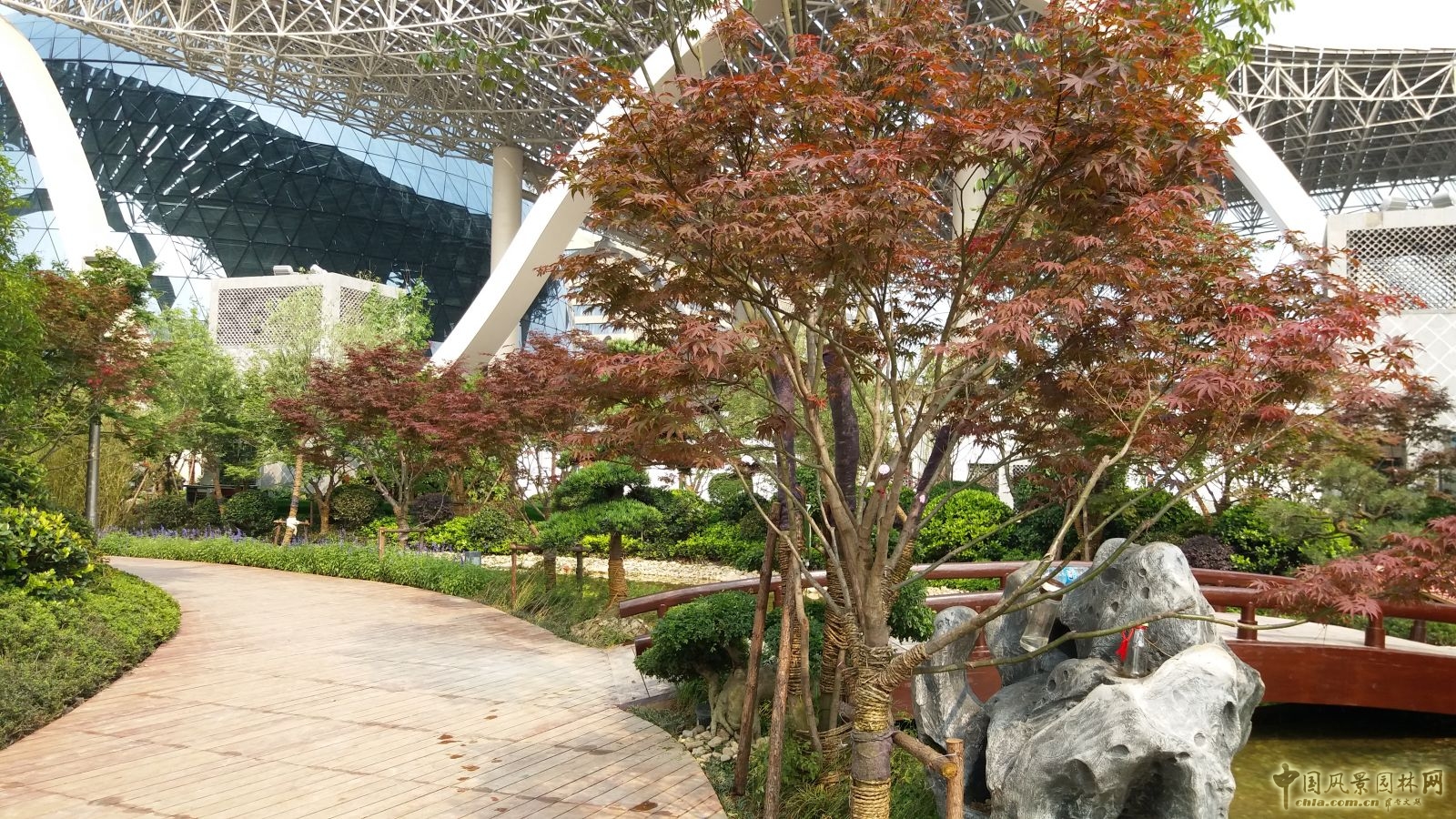 2016園冶杯專業(yè)獎參賽項目：杭州國際博覽中心屋面園林綠化工程