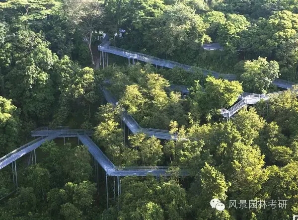 景觀設計中地形高差處理不會？看過來！