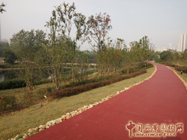 2016園冶杯:塘西河公園景觀（廣西路以西）綠化提升工程
