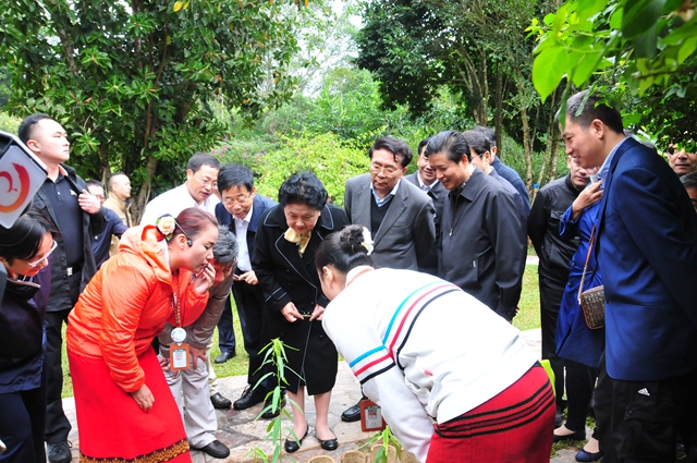 劉延?xùn)|考察中科院西雙版納熱帶植物園