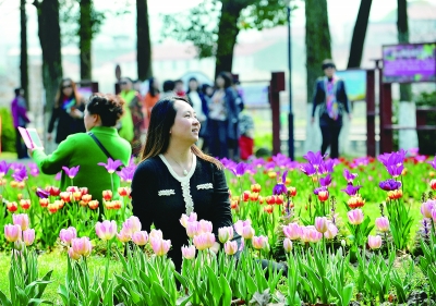 武漢植物園60萬(wàn)株郁金香盛放