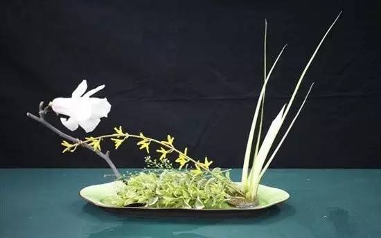 東方插花三大原則，構(gòu)圖表現(xiàn)形式和十三要訣