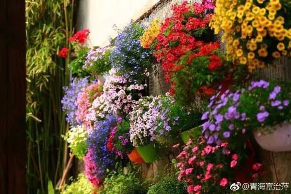 無(wú)錫這些秘密的私家花園