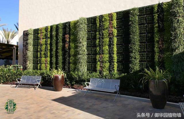 令人傾倒的“瀑布式”植物墻