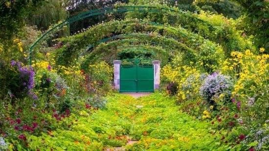 草本花卉在園林綠化與城市景觀建設(shè)中的作用