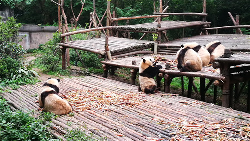 奧克拉荷馬州立大學景觀專業學生來華交流8