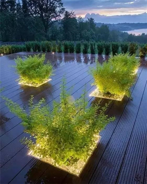 景觀照明中，植物的運(yùn)用竟如此講究