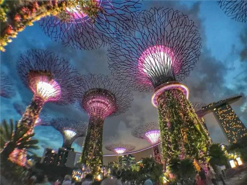 世界上這些驚為天人的植物園你都知道嗎？
