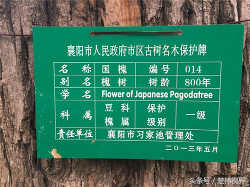 湖北習(xí)家池——中國郊野園林第一家