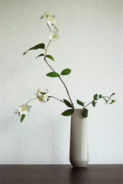 幾款快手插花，讓家迅速變美