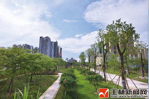 廣西玉林市：全民打造一座園林之城（多圖）