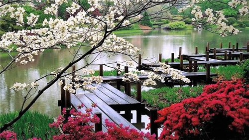日本園林，小小庭院，源于自然，匠心獨運
