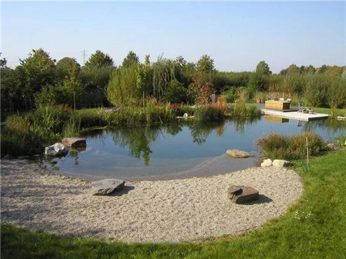 Natural swimming pool　打造夏日生態泳池