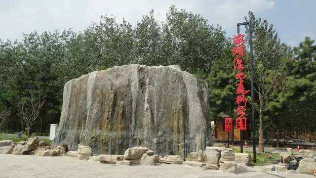 合肥濱湖國家森林公園4A景區(qū)對市民開放