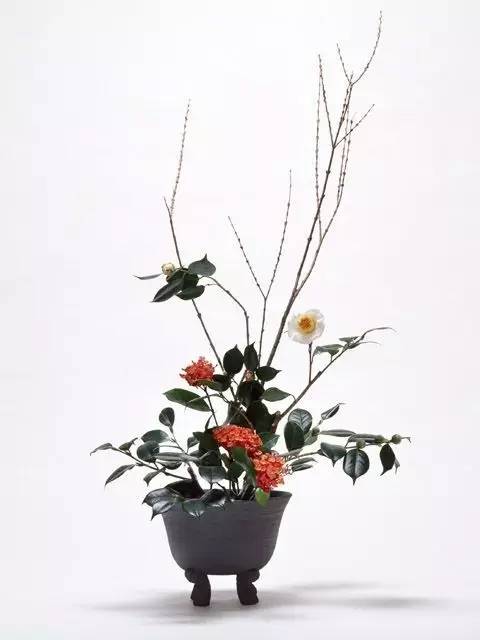 中國(guó)式花藝的質(zhì)樸雅致