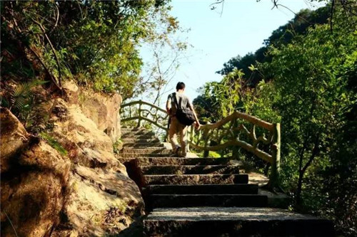 景區(qū)棧道多如牛毛，吸引游客才是王道