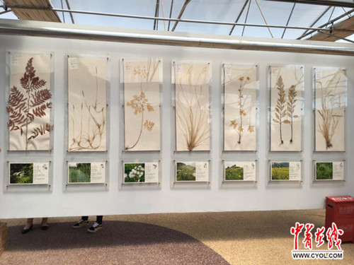 蒙草生態(tài)：數(shù)據(jù)化、科技化發(fā)展無處不在