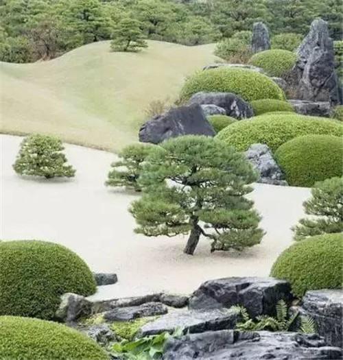 日式園林中樹(shù)的氣場(chǎng)