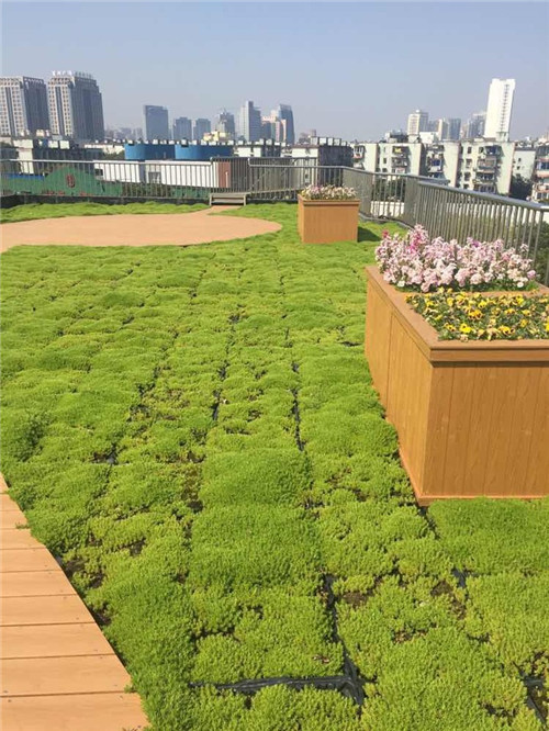 寧波為公建綠化出臺新政 新建筑綠化是標配