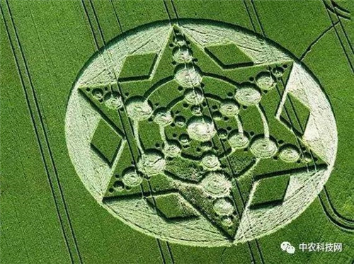國外創(chuàng)意農(nóng)業(yè)的4種成功類型