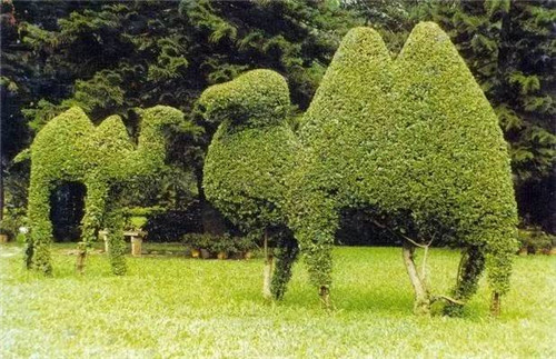 植物雕塑的城市景觀你見(jiàn)過(guò)嗎？