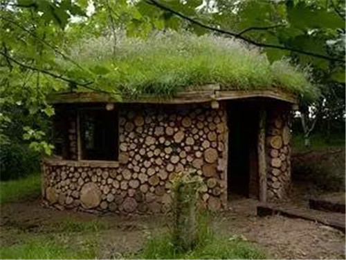 綠植代替瓦片，覆土建筑讓景觀天人合一！