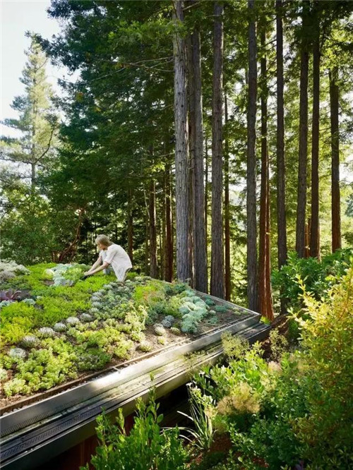 綠植代替瓦片，覆土建筑讓景觀天人合一！