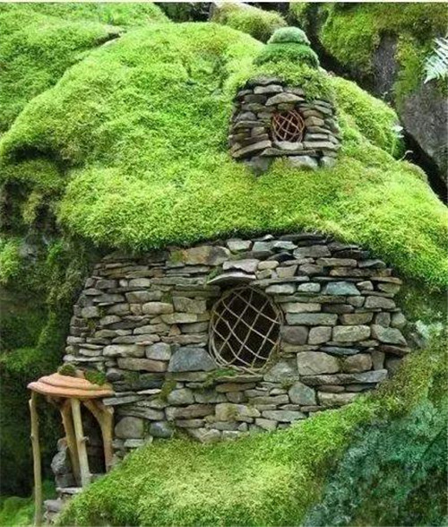 綠植代替瓦片，覆土建筑讓景觀天人合一！