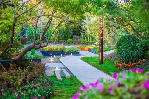 如何讓植物造景在景觀設計中更有范兒？