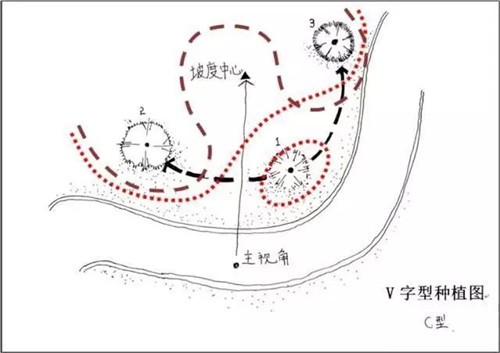 如何讓植物造景在景觀設計中更有范兒？