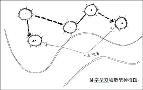 如何讓植物造景在景觀設計中更有范兒？