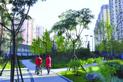 北京南二環(huán)邊“雨水花園”今起開放