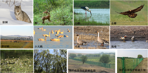 園冶杯專業獎：額爾古納濕地公園總體規劃