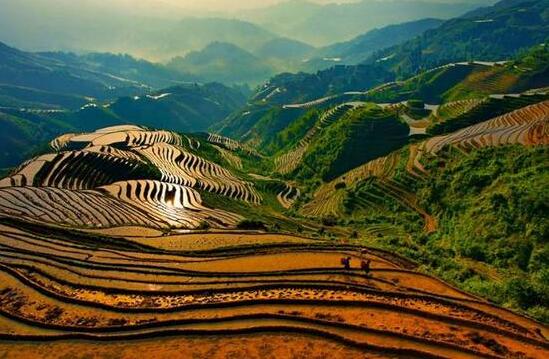 龍脊梯田入選全球重要農(nóng)業(yè)文化遺產(chǎn)