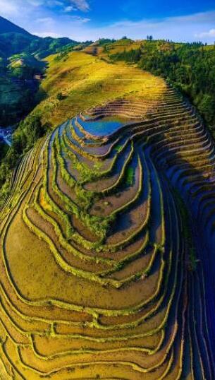 龍脊梯田入選全球重要農(nóng)業(yè)文化遺產(chǎn)